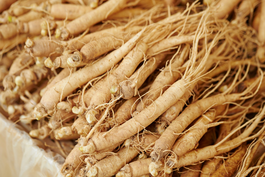 Asian Ginseng