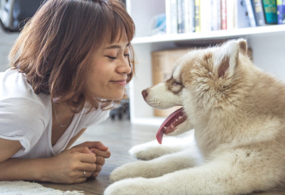 Putting Stress Myths To Rest