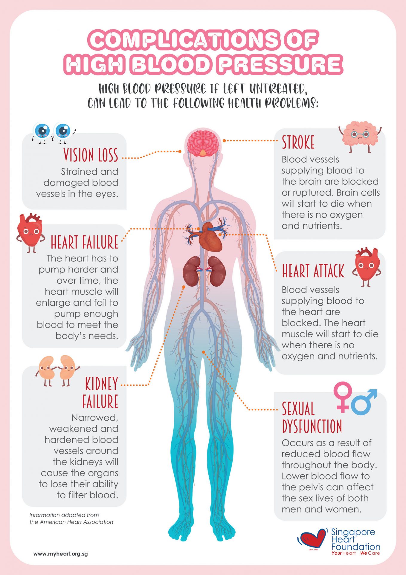 Graphic listing organs affected by hypertension.